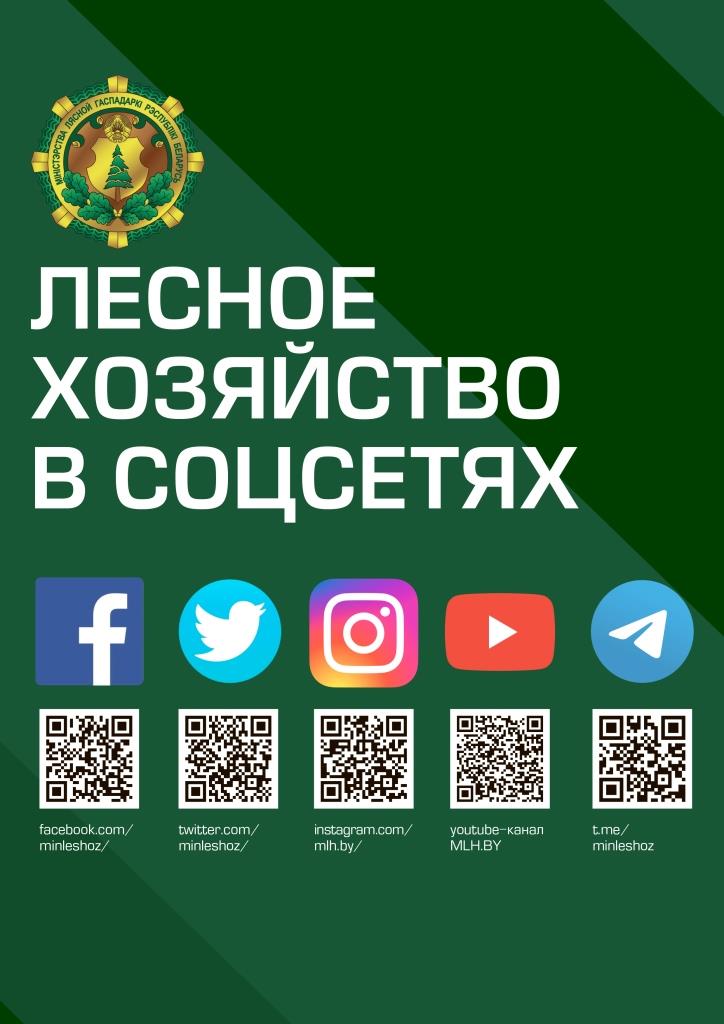 приложение соц сети