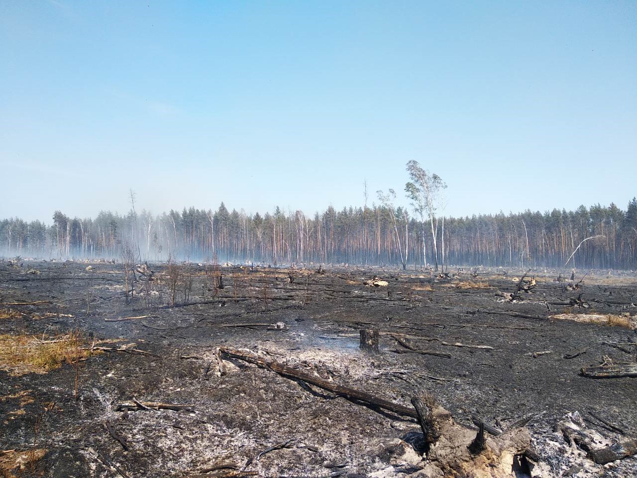 190424 наровля