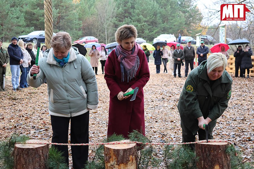 photo 2025 11 03 08 01 59