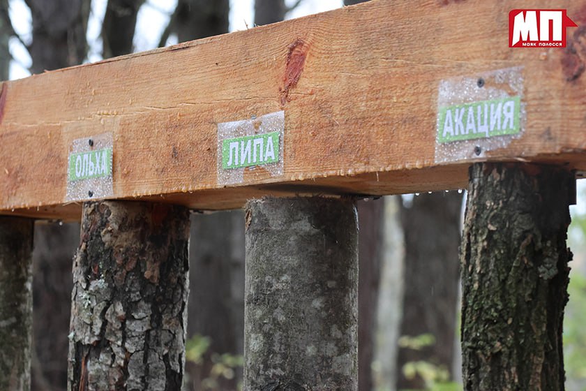 photo 2025 11 03 08 02 05