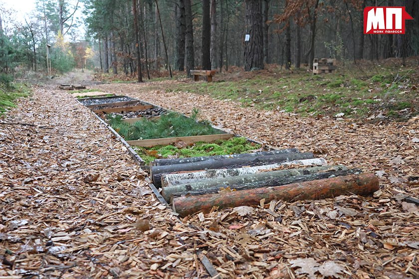 photo 2025 11 03 08 02 08