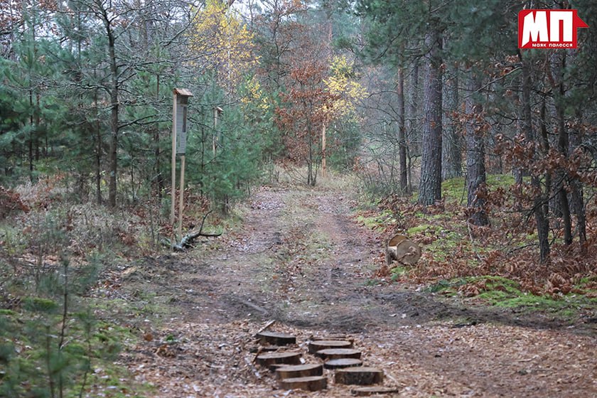 photo 2025 11 03 08 02 11